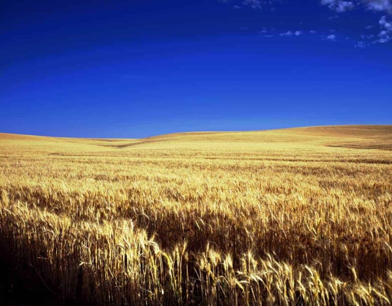 Mindeværdige ting at gøre i Kansas