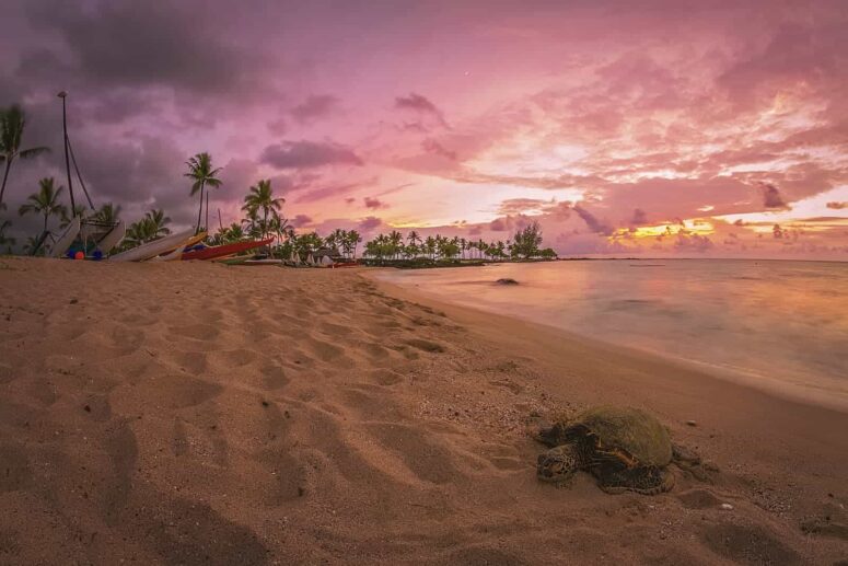 Eventyrlige ting at gøre på Big Island of Hawaii